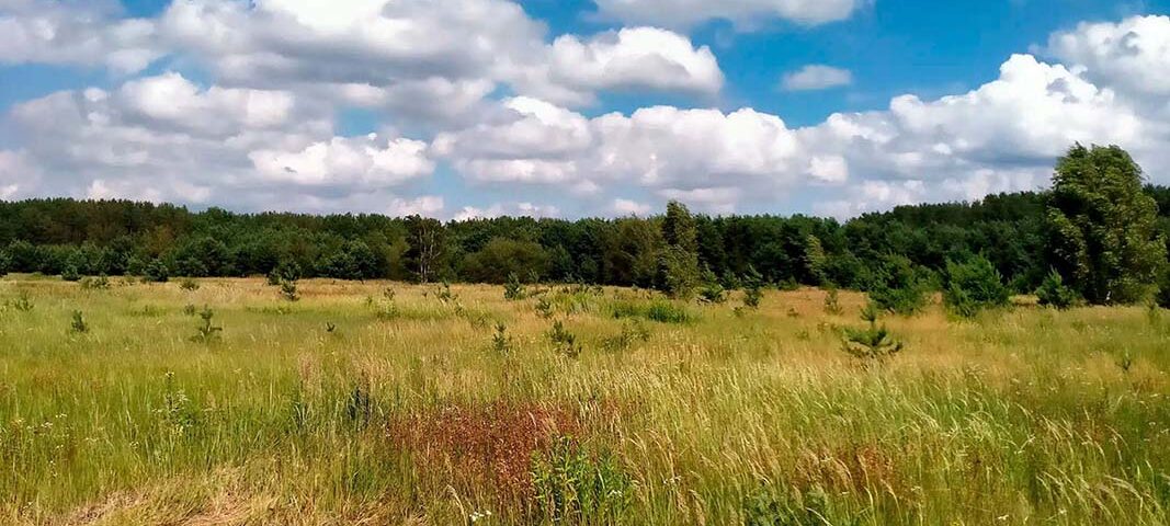 Участок 10 соток в коттеджном поселке «Британника»
